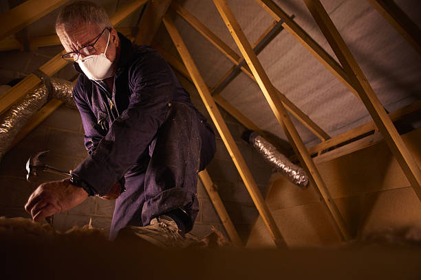 Best Cellulose Insulation in Golden Gate, FL